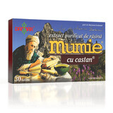 Gereinigter Mumie-Harz-Extrakt mit Kastanie, 30 Tabletten, Damar General Trading