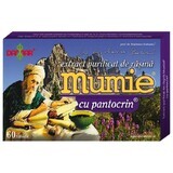 Gereinigter Mumie-Harz-Extrakt mit Pantocrin, 60 Tabletten, Damar General Trading