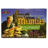 Gereinigter Mumieharz-Extrakt mit Propolis, 60 Tabletten, Damar General Trading