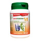 Favifeminin, 40 Kapseln, Favisan