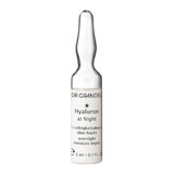Hyaluronsäure Nachtaktiv-Konzentrat Ampulle (41150), 3 ml, Dr. Grandel