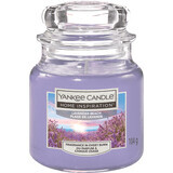 Yankee Candle Lavendel-Strand-Duftkerze, 104 g