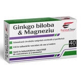 Ginkgo Biloba & Magnesium, 40 Kapseln, FarmaClass