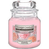 Yankee Candle Duftkerze Zuckerblüte, 104 g