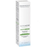 Dermedic Normacne Feuchtigkeitsspendende, Sebum regulierende Gesichtscreme, 40 ml