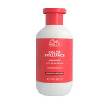 Shampoo für coloriertes, grobes Haar Invigo Color Brilliance Coarse, 300 ml, Wella Professionals