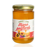 Honey Line mehrblütiger Honig, 400 g, Apisrom