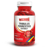 Tribulus Terrestris Extrakt, 60 Kapseln, AdNatura