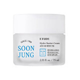 Crema hidratanta pentru restaurarea barierei cutanate SoonJung, 75 ml, Etude House