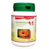 Galbenele, 40 capsule, Favisan