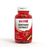 Gentiaan-extract, 30 capsules, AdNatura