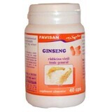 Ginseng, 40 capsule, Favisan