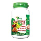 Gicht Star, 100 Tabletten, Ayurmed