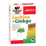 Lecithin+Ginkgo, 30 Kapseln, Doppelherz