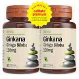 Packung Ginkana Ginkgo Biloba 120mg, 30 Tabletten, Alevia (1+1)
