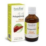 Polygemma 11 Leberentgiftung, 50 ml, Pflanzenextrakt