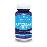 Articular Stem, 60 capsule, Herbagetica