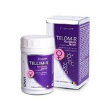 Telom-R Weibliche Fruchtbarkeit, 120 cspsule, DVR Pharm