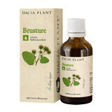 Tinctură de Brusture, 50 ml, Dacia Plant