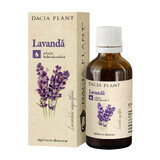 Lavendeltinktur, 50 ml, Dacia Plant