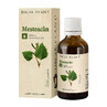 Mesteacan tincture, 50 ml, Dacia Plant