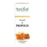 Propolis-Tinktur, 30 ml, Pflanzenextrakt