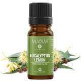 Ätherisches Öl Eukalyptuszitronat (M - 1326), 10 ml, Mayam