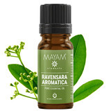 Ravensara ätherisches Öl (M - 1163), 10 ml, Mayam