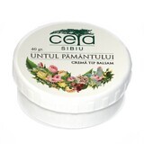 Unguent de Untul Pământului, 40 g, Ceta Sibiu