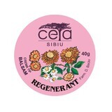 Regenerations-Salbe, 40 g, Ceta Sibiu