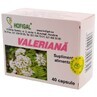 Valerian, 40 capsules, Hofigal