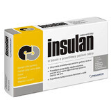 Insulan Gesundheitsergänzung - 60 Tabletten