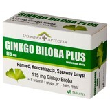 Ginkgo Biloba Plus 48 Tabletten für die Hausapotheke