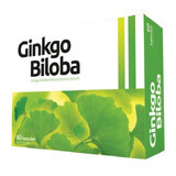 Ginkgo Biloba 60 Kapseln