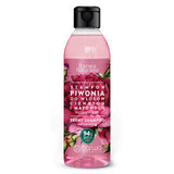 Barwa Natural peony shampoo for thin and dull hair, volumizing, 300 ml