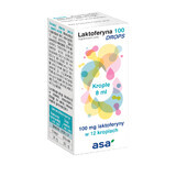 Lactoferrin 100 Tropfen, 8 ml