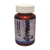 Collagen and calcium, 100 tablets, BBM Medical