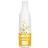 Novame, shampoo for bleached and blonde hair, chamomile, 300 ml