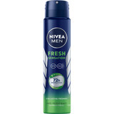 Nivea Men Fresh Sensation, spray antitranspirant pour hommes, 250 ml