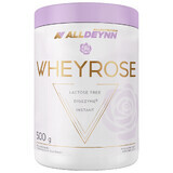 Allnutrition Alldeynn WheyRose, aromă de cafea cu bucăți de cookie fără zahăr, 500 g