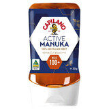 Capilano Active Manuka, Manuka Honig MGO 100+, 250 g