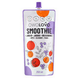 Owolovo Smoothie in der Tube, Apfel, Heidelbeere, Pfirsich, 250 ml