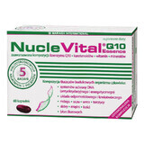 NucleVital Q10 Essenz, 60 Kapseln