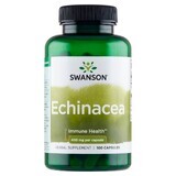 Swanson Echinacea 400 mg, lila Sonnenhut, 100 Kapseln