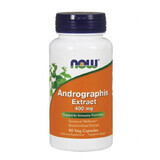 Now Foods Andrographis Extract 400 mg, chinaberry, 90 gélules végétales