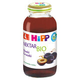 HiPP Nektar Bio, Pflaume und Birne, nach 4 Monaten, 200 ml