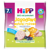 HiPP Rice Krispies Bio, bes, na 7 maanden, 30 g