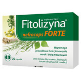 Phytolysin Nefrocaps Forte, 30 Kapseln