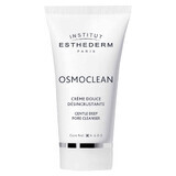 Esthederm Osmoclean, Gentle Deep Pore Cleanser, deep cleansing cream for face and décolletage, 75 ml