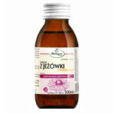 Herbapol Echinacea-Sirup mit Vitamin C, 100 ml